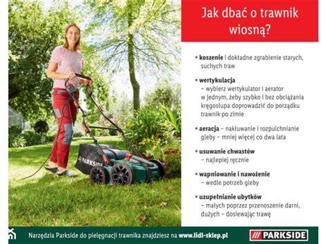 Infografika: jak dbać o trawnik