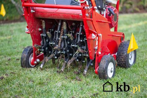 Porównanie wertykulacji i aeracji trawnika