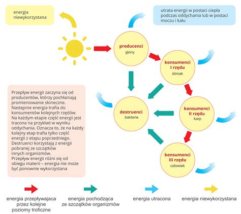 Porównanie dyszy eżektorowej i standardowej (schemat przepływu cieczy)