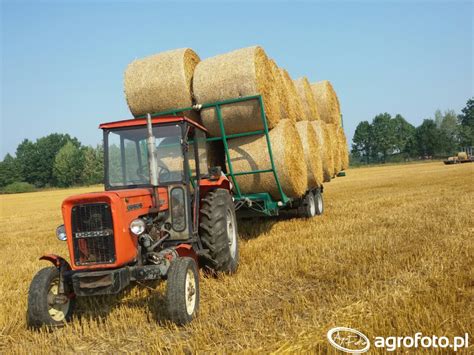 Ursus C-360 3P pracujący w polu