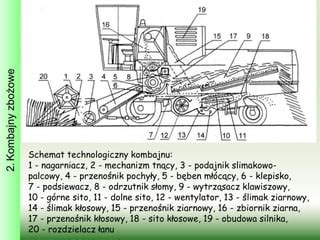 schemat działania kombajnu zbożowego (omłot tradycyjny i rotorowy)