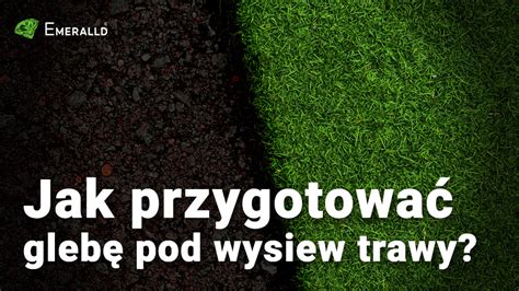 Różne etapy przygotowania ogrodu pod wysiew trawy, kolaż zdjęć