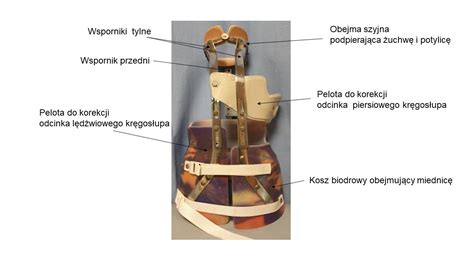 Zdjęcie opylacza piersiowego wentylatorowego
