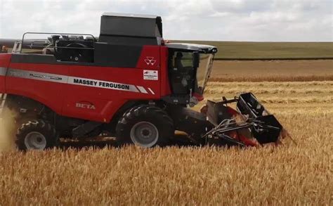 Przegląd nowoczesnego kombajnu zbożowego Massey Ferguson podczas pracy na polu