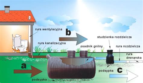 infografika porównująca koszty szamba i przydomowej oczyszczalni ścieków