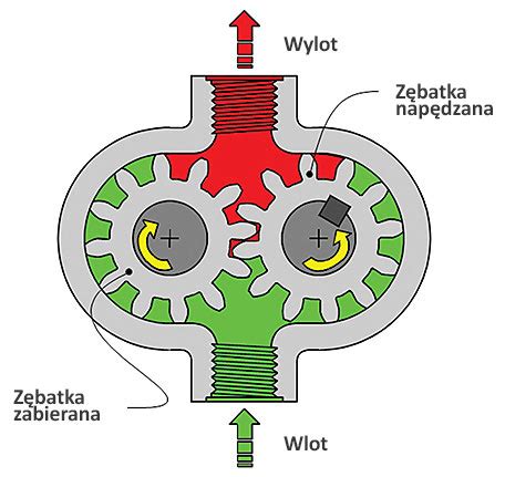 Przekrój pompy zębatej z zaznaczonymi elementami