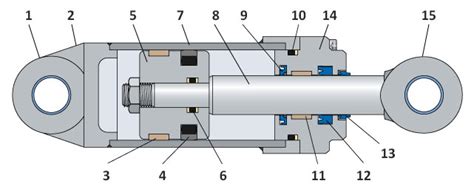 ilustracja przekroju siłownika hydraulicznego