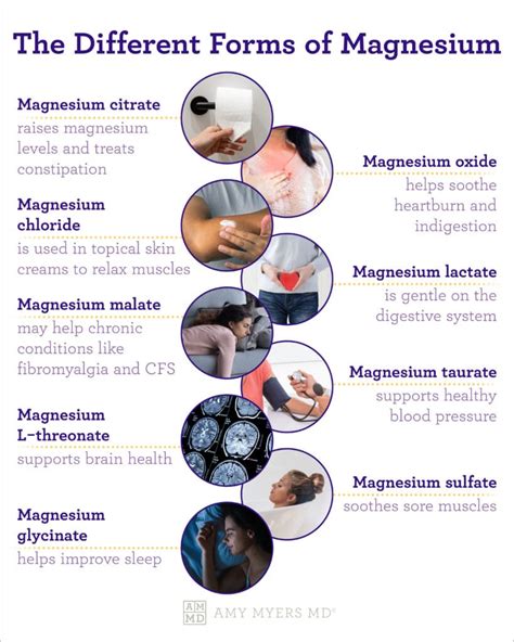 Infographic showing different types of rototillers and their uses
