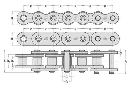 Schemat przedstawiający różne typy łańcuchów transmisyjnych: sworzniowy, tulejkowy, rolkowy i zębaty.