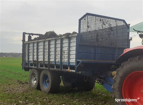 Zdjęcie rozrzutnika obornika Fortschritt T-088 w pracy