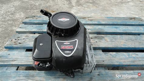 Silnik Briggs & Stratton w kosiarce spalinowej