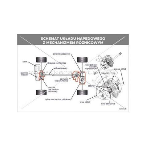 Schemat układu napędowego traktora z podziałem na biegi do przodu i wsteczne