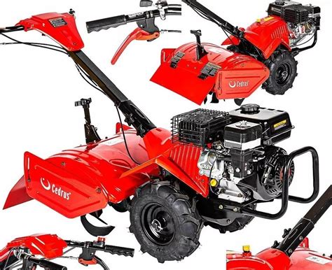 Glebogryzarka z napędem Cedrus GLX-GT65-2L 6,5KM silnik Loncin