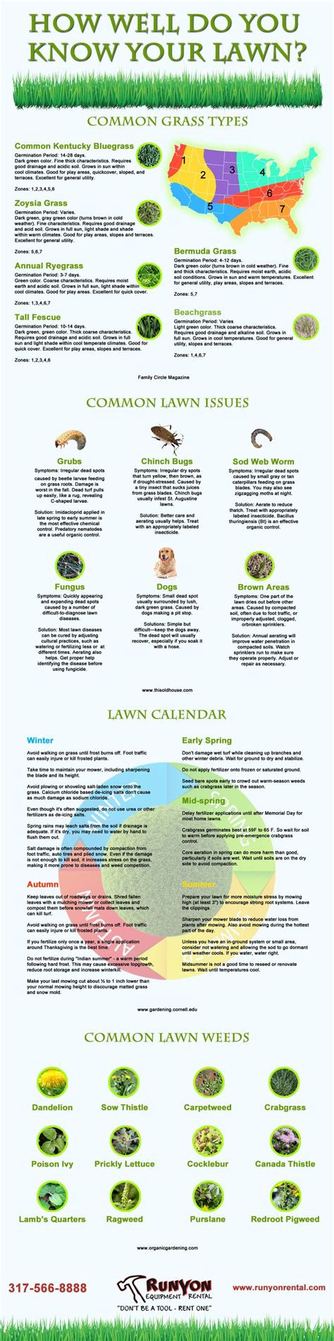 Infographic showing different types of lawn care equipment