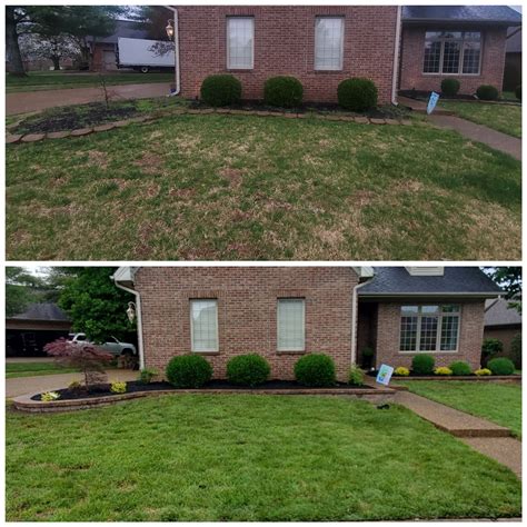 Photo comparison: lawn before and after using a robotic lawnmower