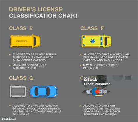 Infographics showing different categories of driving licenses for heavy vehicles