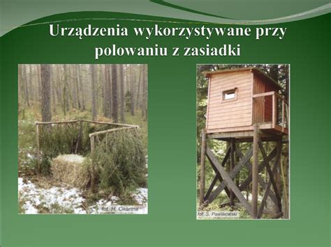 Zdjęcie historycznego paśnika dla zwierzyny leśnej