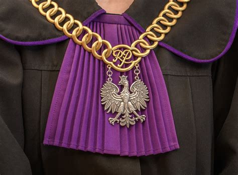 Ilustracja przedstawiająca przedwojenny polski sad z uprawami międzyrzędowymi