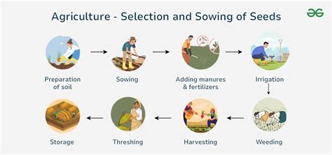 Table of sowing settings for various crops (example or template for Poznaniak seed drill)