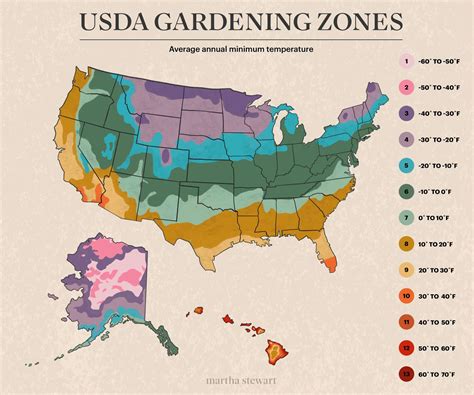 Map of a garden with different zones and suitable mower types