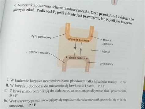 Schemat budowy łożyska oporowego z zaznaczonymi punktami smarnymi