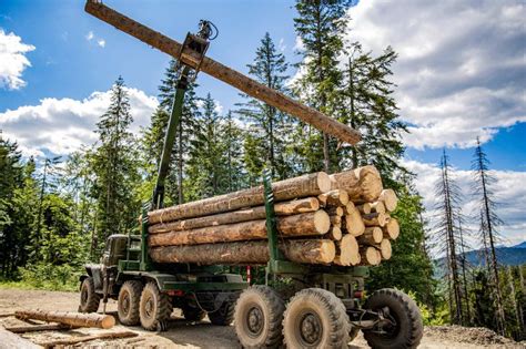 Thematic photo of a truck with a crane loading logs in a forest