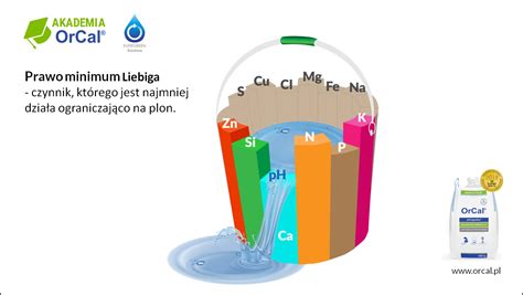 Infografika: Prawo minimum Liebiga