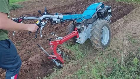 Thematic photo of a Bertolini tiller in operation on cultivated land