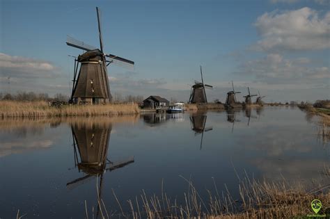 Widok na wiatraki w Kinderdijk