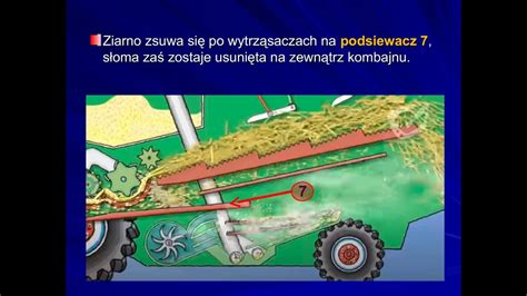 Schemat działania transportera w kombajnie warzywnym