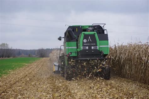 Kombajn Deutz-Fahr C6305 TS podczas zbioru kukurydzy