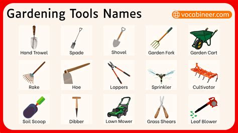 Thematic photo of gardening equipment