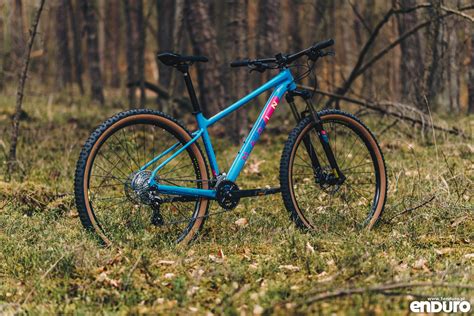 Rower Marin Bobcat Trail 3 na leśnej ścieżce