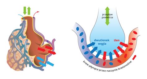 Animacja pokazująca przepływ powietrza wokół aerodynamicznego zestawu Renault T