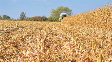 Ilustracja przedstawiająca bronę talerzową w akcji, mieszającą resztki pożniwne z glebą.