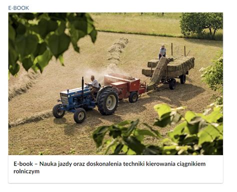 Historyczne zdjęcie Tarpana w użytku rolniczym