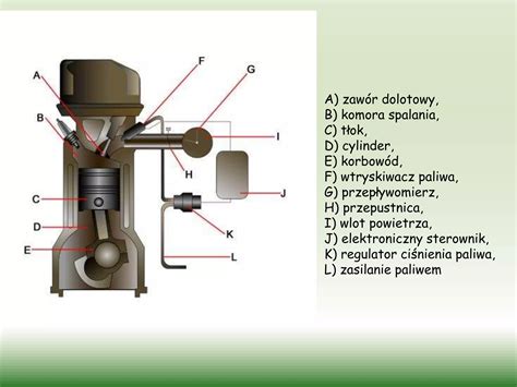 Schematyczny przekrój silnika wysokoprężnego M-17