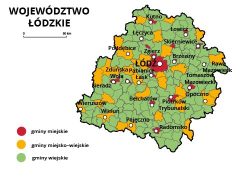 Infografika przedstawiająca rozkład ogłoszeń na mapie Łódzkiego