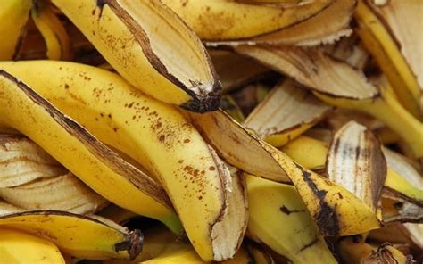 skórki bananów jako nawóz naturalny