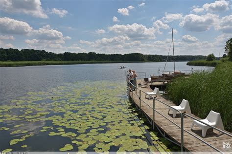 Fotografia przedstawiająca Jezioro Wojnowskie z otaczającymi je lasami, ukazująca walory przyrodnicze regionu.