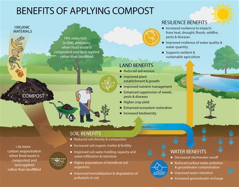 Infographic showing the benefits of using shredded branches for mulching and composting in a garden.
