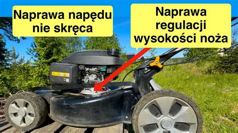 Infografika przedstawiająca różne poziomy wysokości koszenia i ich wpływ na wygląd trawnika.