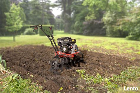 Glebogryzarka Hecht 785 w trakcie pracy na polu