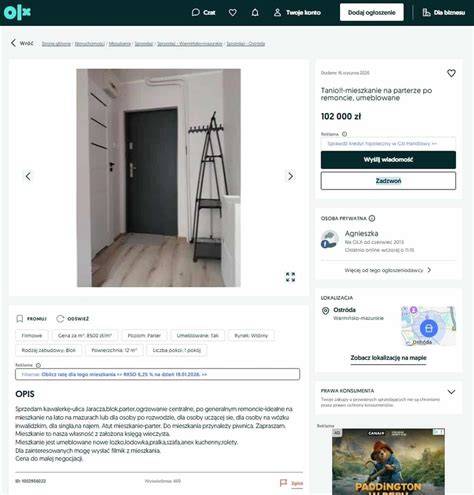 zrzut ekranu z serwisu OLX przedstawiający wyniki wyszukiwania glebogryzarek