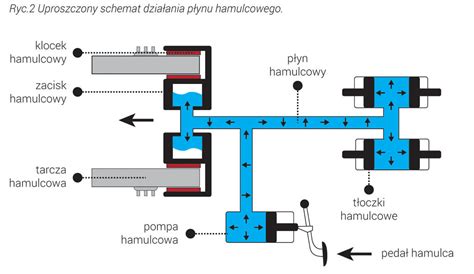 Infografika przedstawiająca budowę układu hydraulicznego w Zetorze 7711