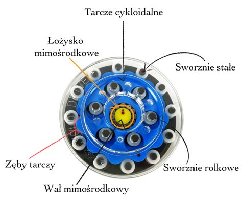 Schemat działania ruchu mimośrodowego w polerce Dual Action
