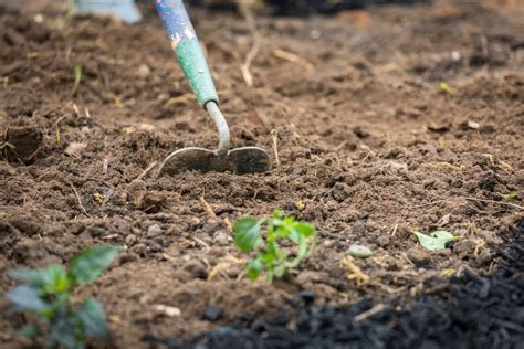 Thematic photo of a garden being tilled in spring