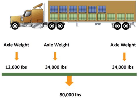 Infographic on legal weight limits for trucks and trailers in Europe