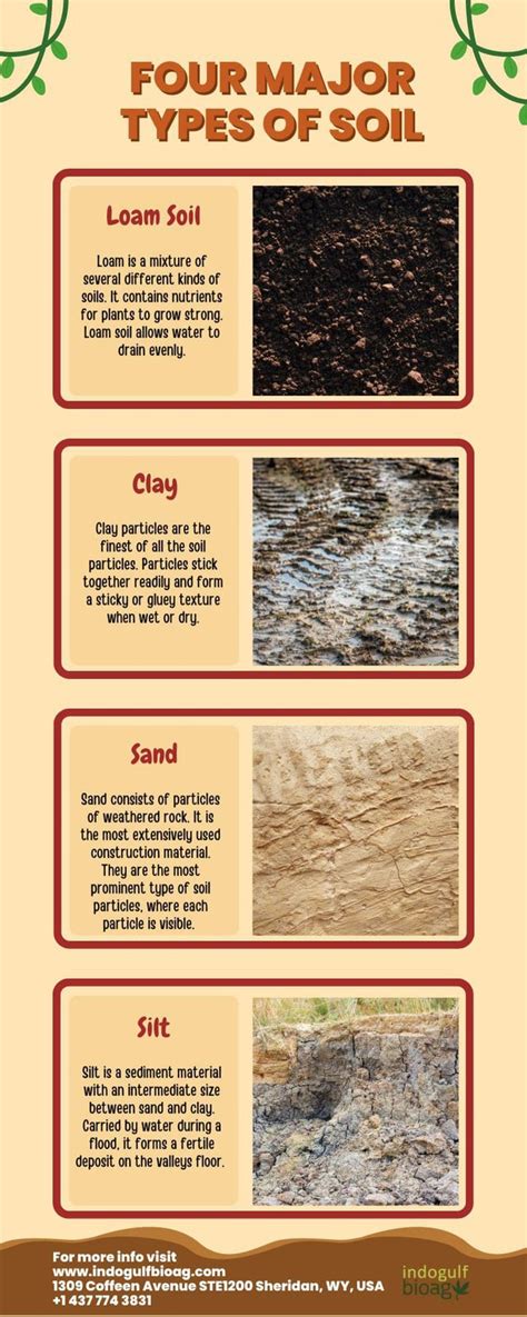 Infographics showing different types of soil (clay, sand, loam) and their characteristics