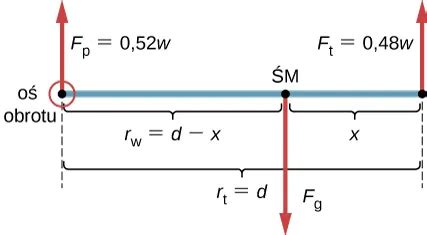 Schemat pokazujący rozkład ciężaru wykaszarki dzięki ergonomicznym szelkom